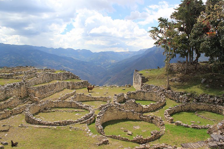 Muchas teorías se extienden de porque y como fue construida