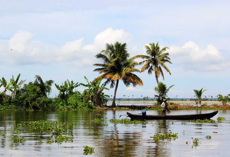 Vida entorno a los backwaters